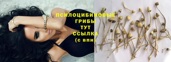 трава Куйбышев