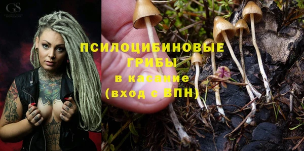 трава Куйбышев