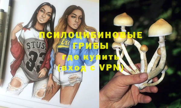 ГАЛЛЮЦИНОГЕННЫЕ ГРИБЫ Кукмор