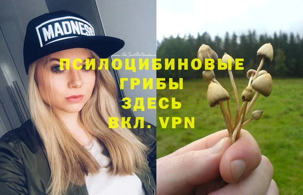 трава Куйбышев