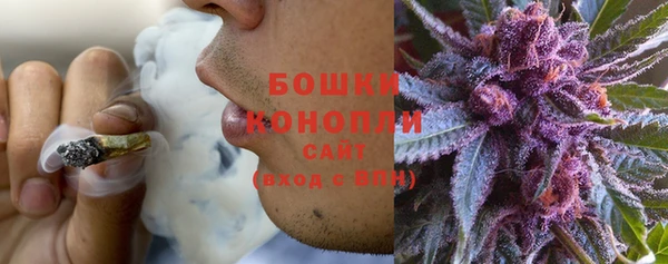 ГАЛЛЮЦИНОГЕННЫЕ ГРИБЫ Кукмор