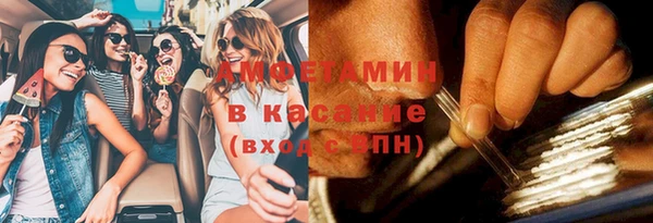ГАЛЛЮЦИНОГЕННЫЕ ГРИБЫ Кукмор