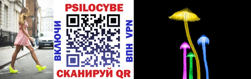 blacksprut зеркало  Сокол  Псилоцибиновые грибы Cubensis  где купить  
