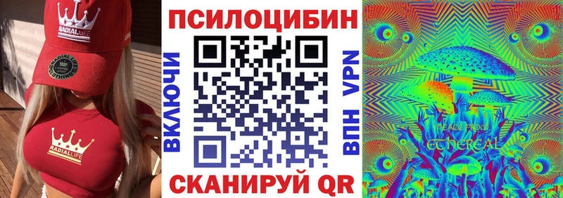 Псилоцибиновые грибы Psilocybe Сокол