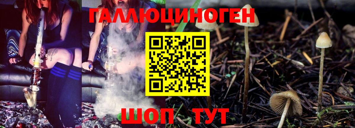 Псилоцибиновые грибы ЛСД  Псилоцибиновые грибы MAGIC MUSHROOMS  Сокол  сколько стоит  Вход с VPN 